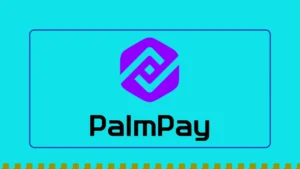 Get started with Palmpay