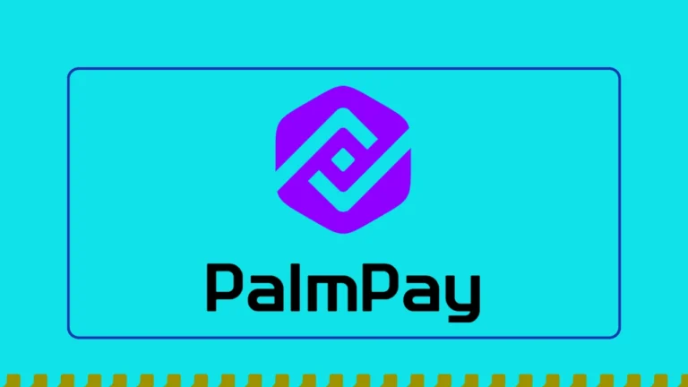 Get started with Palmpay