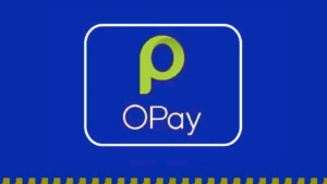 Getting Started With Opay